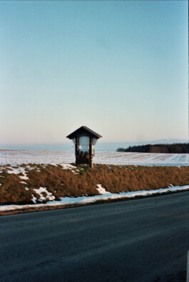 franziskavehring.com